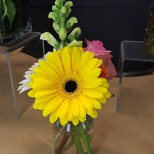 Meet your Posher, Cassandra